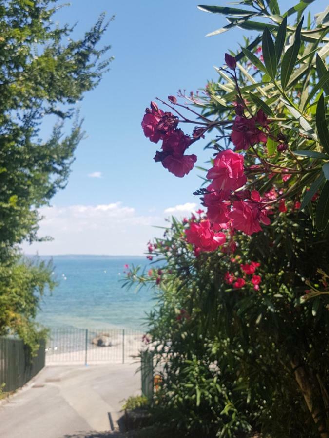 דירות מנרבה דל גארדה Casa Di Ludovica מראה חיצוני תמונה
